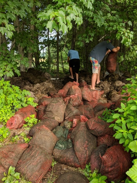 Disposing of MilfoilTLEA Thompson Lake Environmental Association Maine