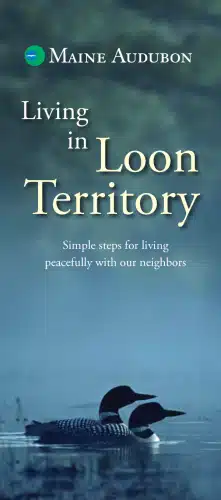 Loon Territory Brochure