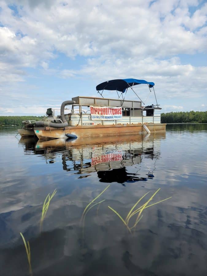 Milfoil boat