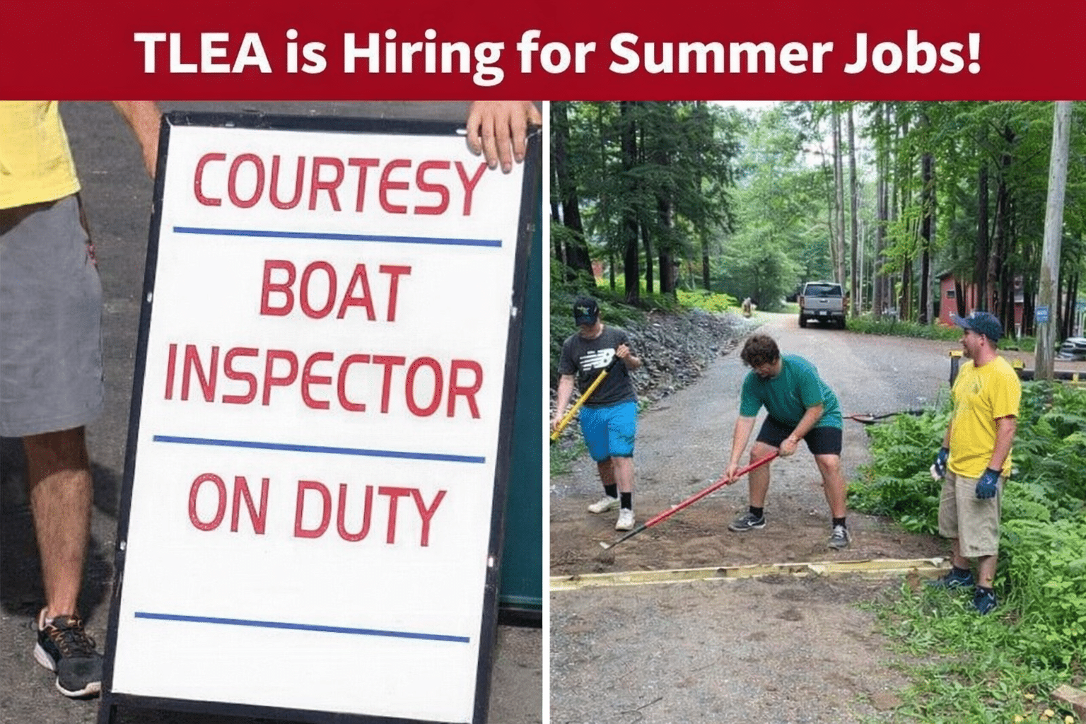 Summer job opportunities at TLEA