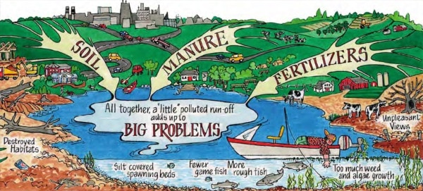 Watershed GraphicTLEA Thompson Lake Environmental Association Maine