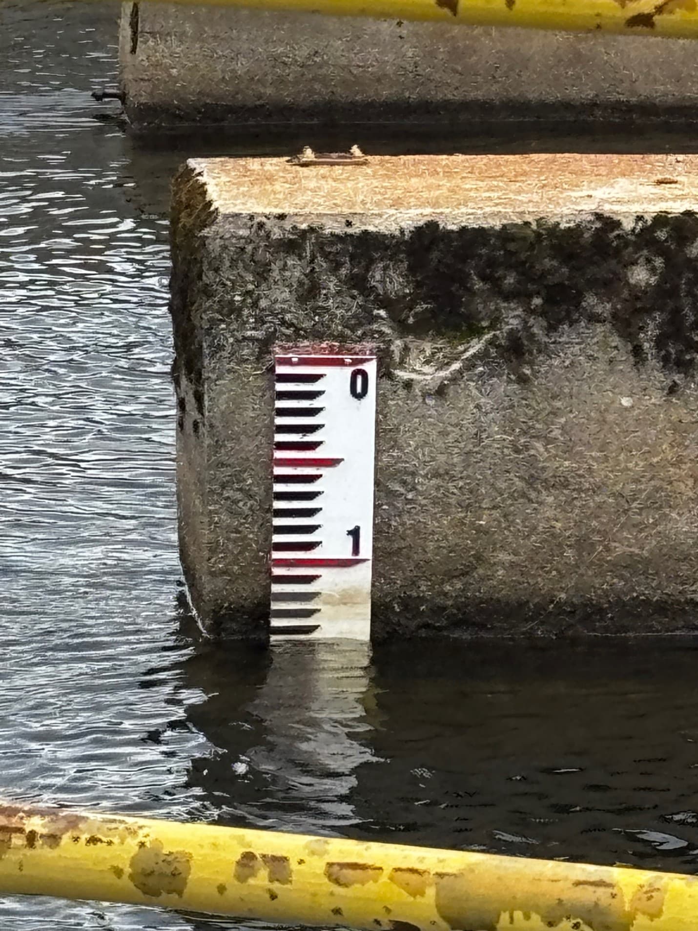 Summer Water Level Reached Early - Thompson Lake Environmental Association