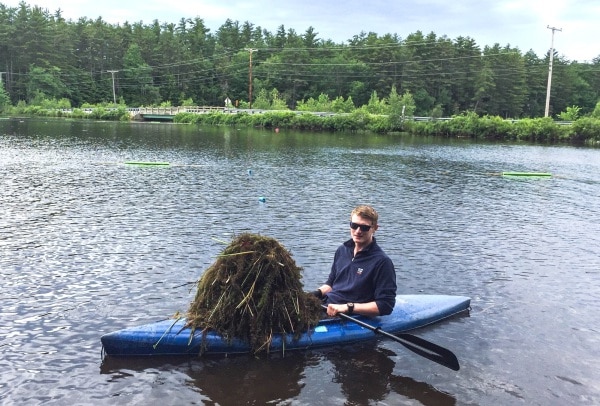 milfoil TLEA Diver in Kayak with pile of MilfoilTLEA Thompson Lake Environmental Association Maine
