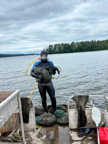 milfoil what is TLEA is doing about it