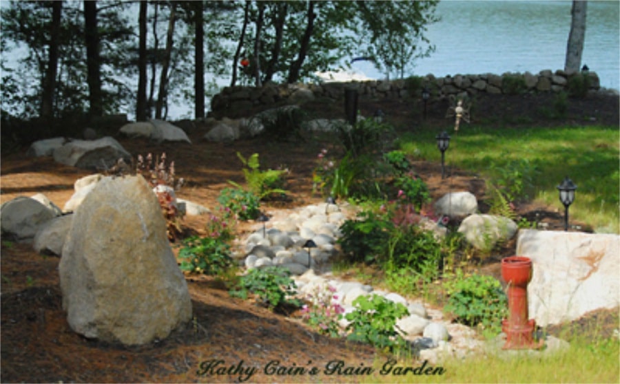 Photo Gallery - Thompson Lake Environmental Association