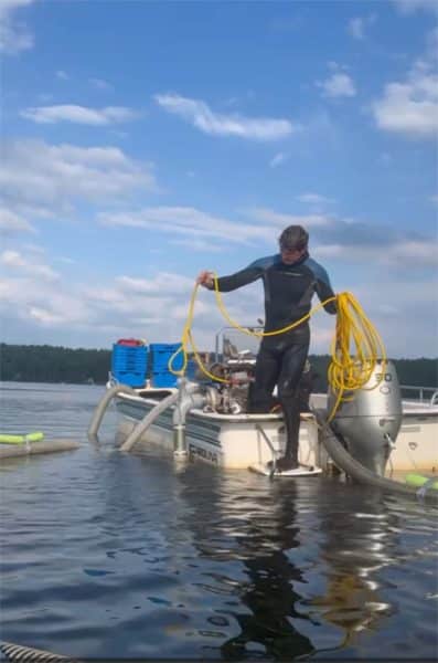 searching for milfoil