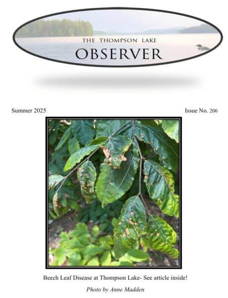 summer 2025 observer cover