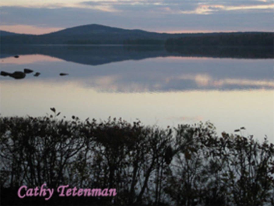 Photo Gallery - Thompson Lake Environmental Association