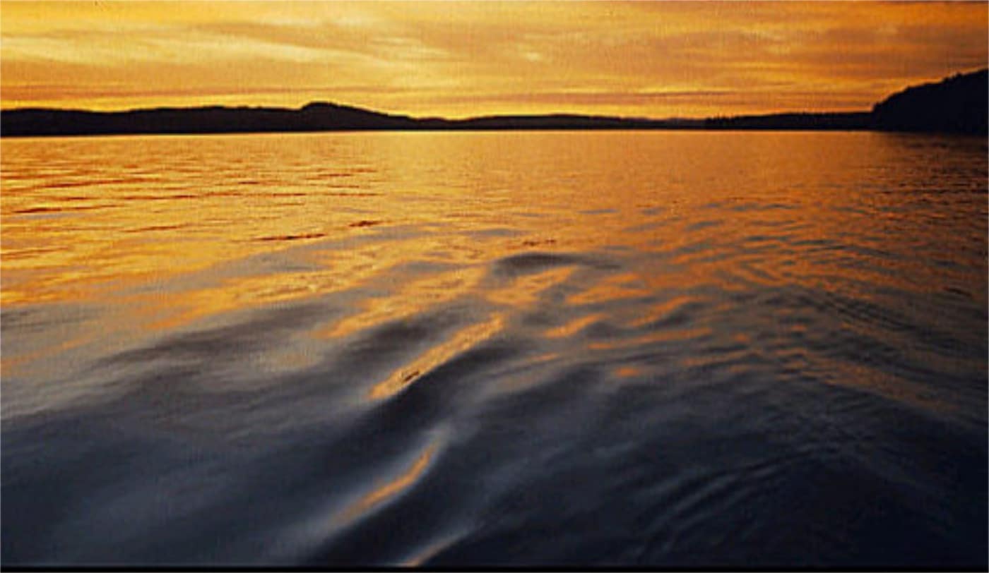 Photo Gallery - Thompson Lake Environmental Association