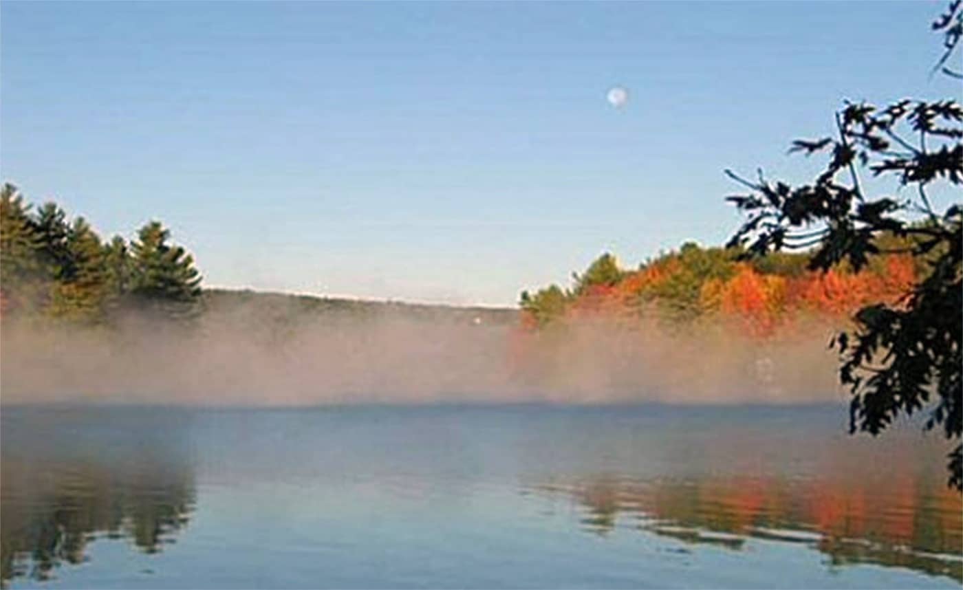 Photo Gallery - Thompson Lake Environmental Association