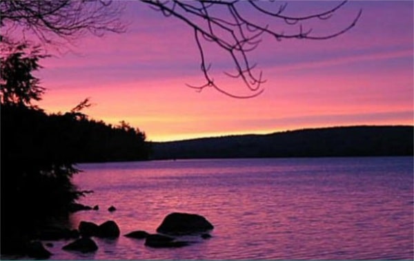 v pink sunsetTLEA Thompson Lake Environmental Association Maine