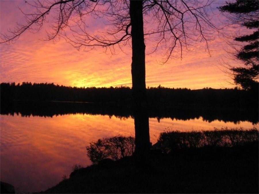 Photo Gallery - Thompson Lake Environmental Association