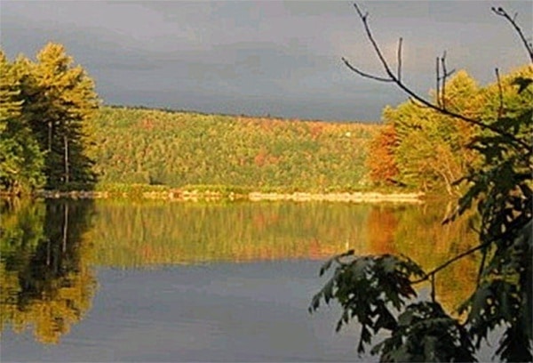 v sunriseTLEA Thompson Lake Environmental Association Maine