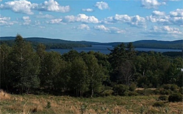 view of lakeTLEA Thompson Lake Environmental Association Maine